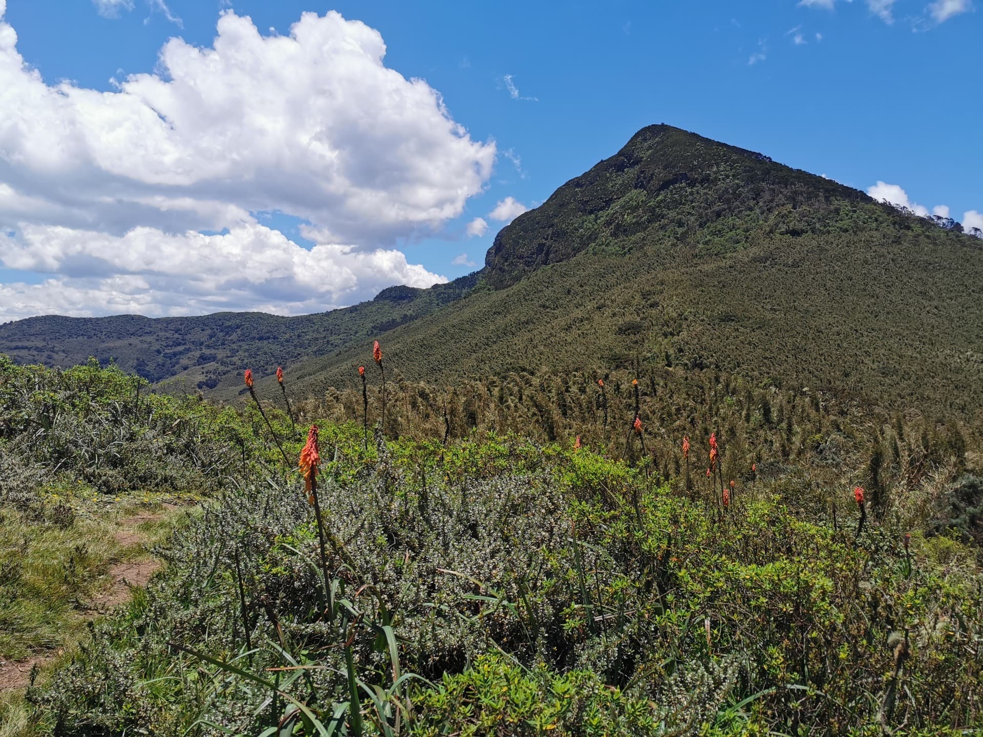 Der Aberdare-Nationalpark