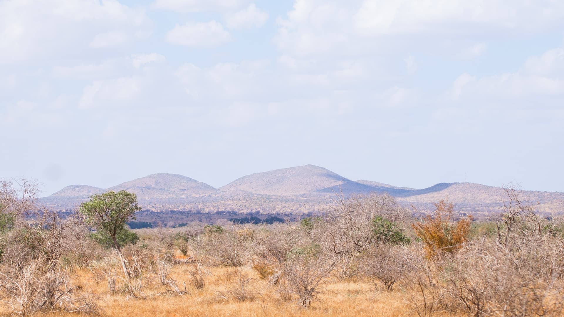 Chyulu Hills Nationalpark