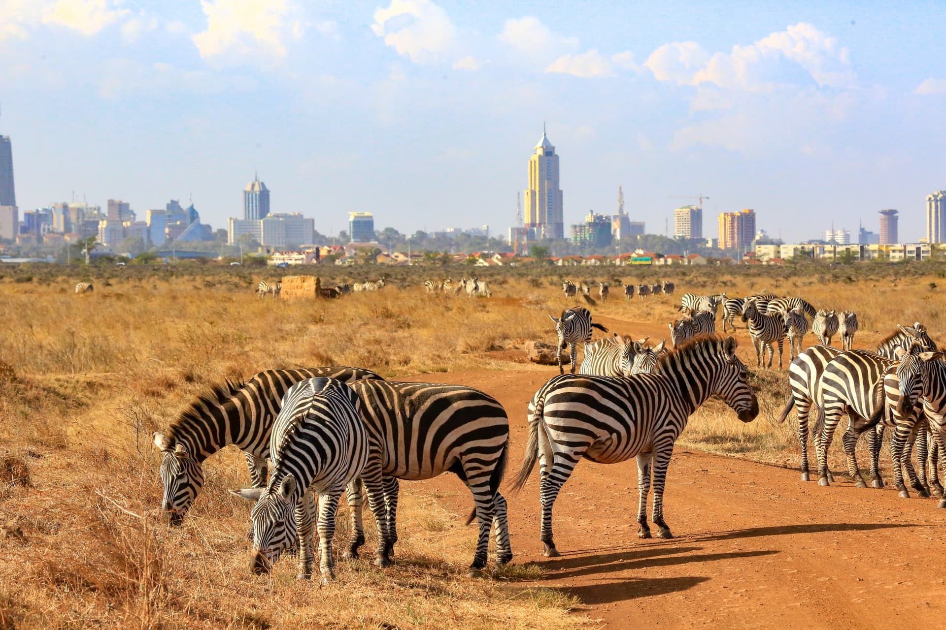 Nairobi-Nationalpark